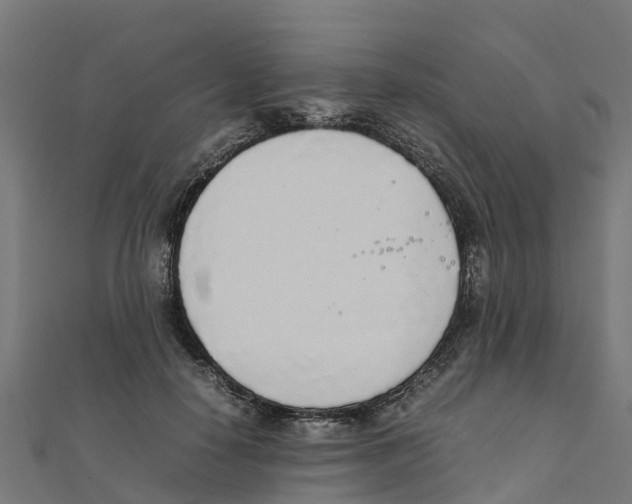 X0000111250650200907301328