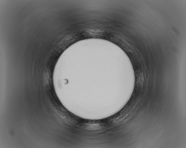 X0000111250651200907301328