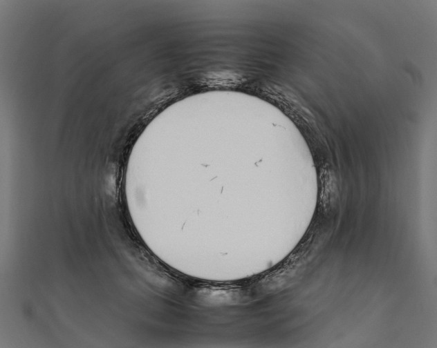 X0000111250655200907301328