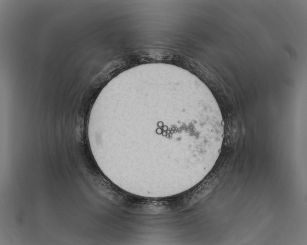 X0000111250656200907301328