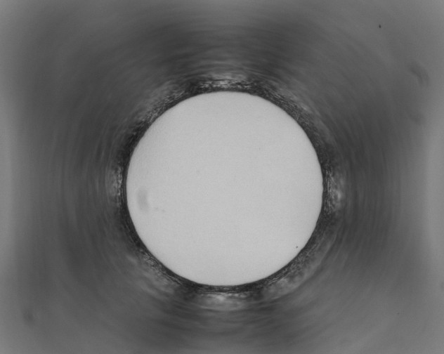 X0000111250657200907301328