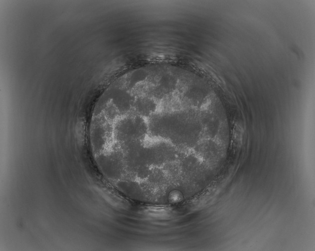 X0000111250659200907301328