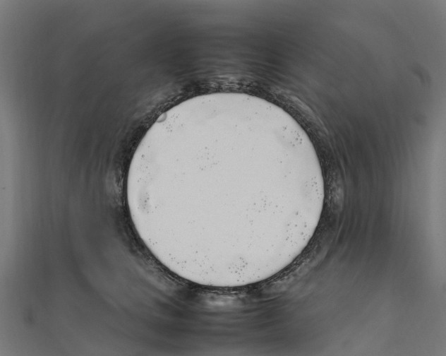 X0000111250661200907301328