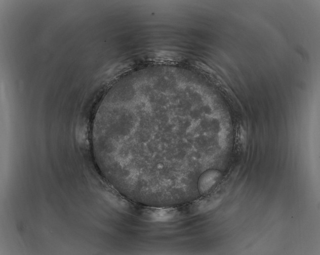 X0000111250663200907301328