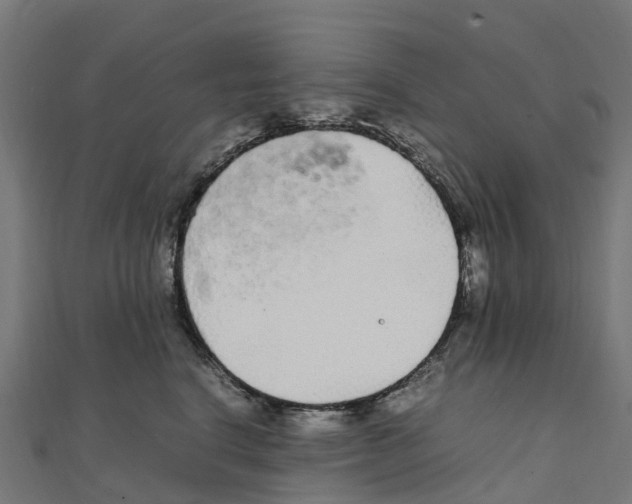 X0000111250664200907301328