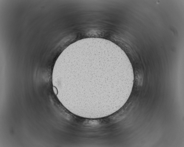 X0000111250665200907301328