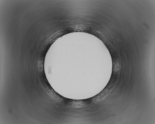 X0000111250666200907301328