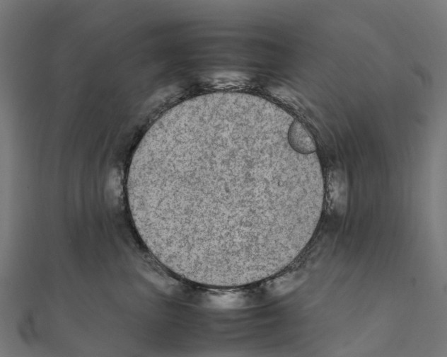 X0000111250667200907301328