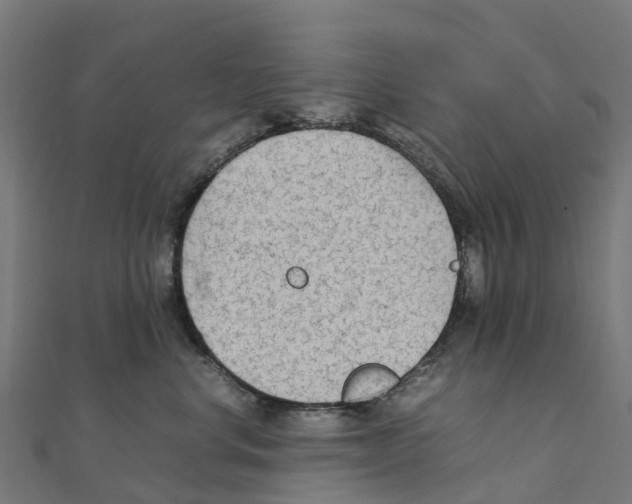 X0000111250668200907301328