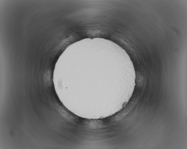 X0000111250670200907301328