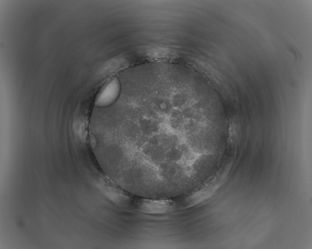 X0000111250671200907301328