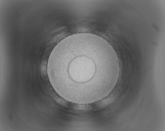 X0000111250672200907301328