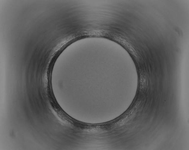 X0000111250674200907301327