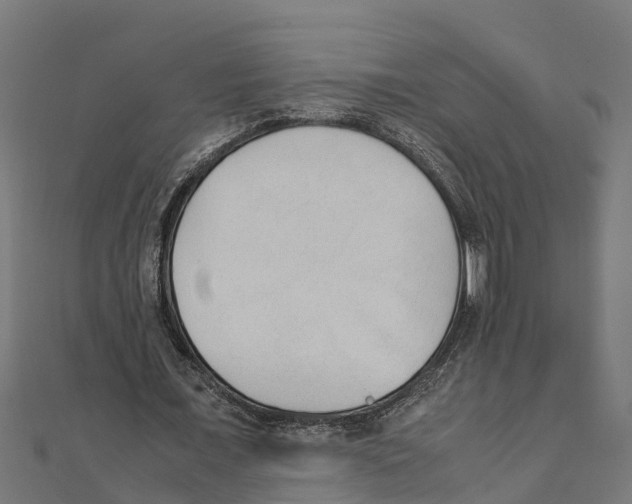 X0000111250675200907301327