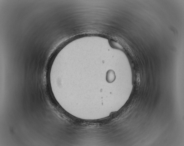 X0000111250676200907301327