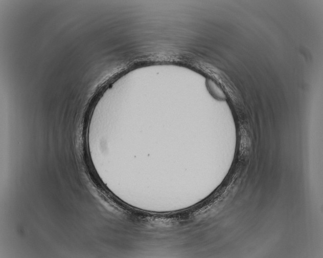 X0000111250677200907301327