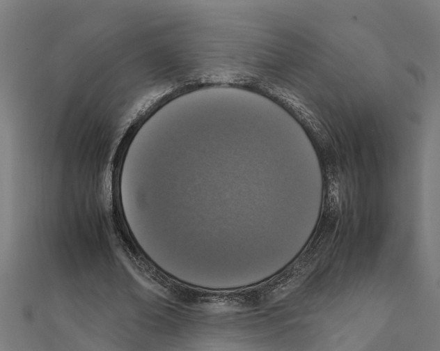 X0000111250678200907301327