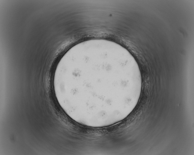 X0000111250679200907301327