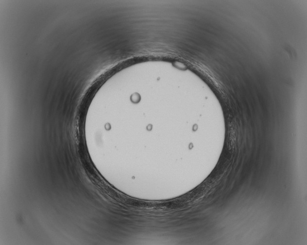 X0000111250680200907301327