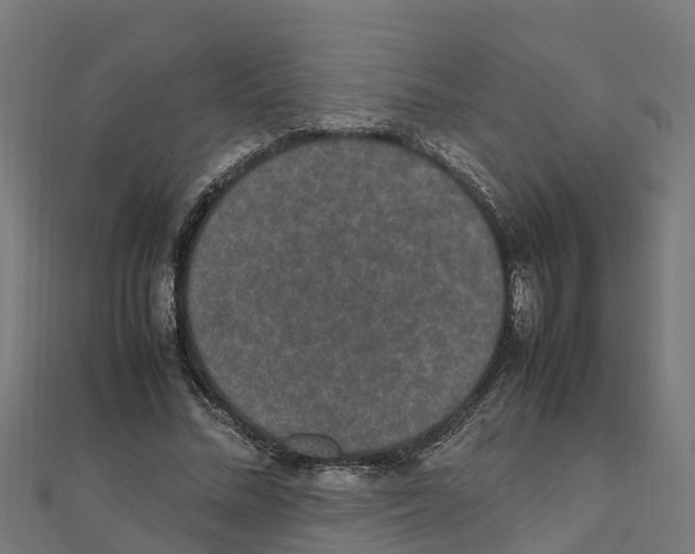 X0000111250684200907301327