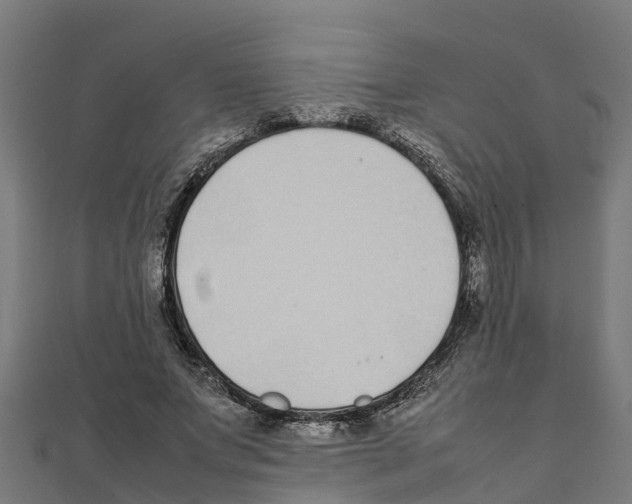 X0000111250687200907301327