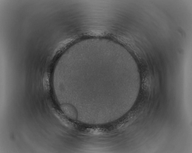 X0000111250688200907301327