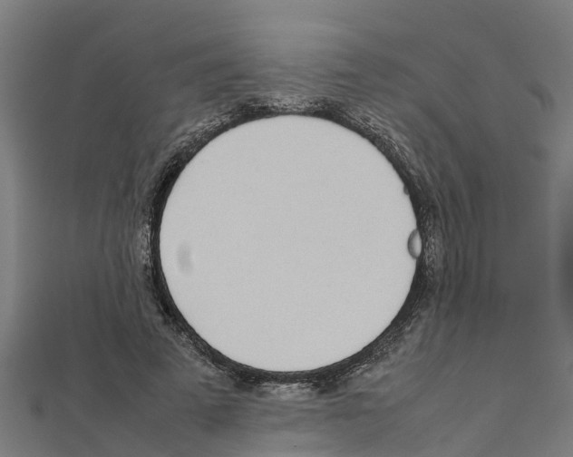 X0000111250689200907301327