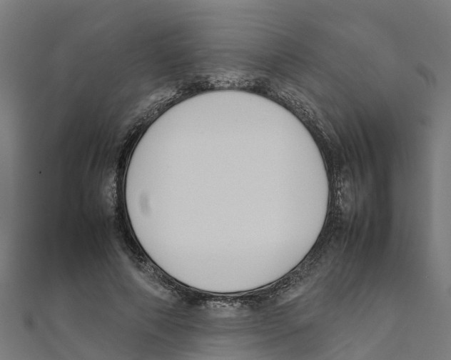 X0000111250690200907301327