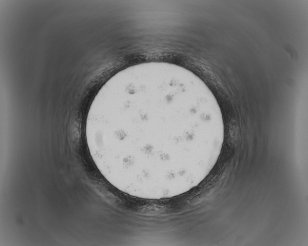 X0000111250691200907301327