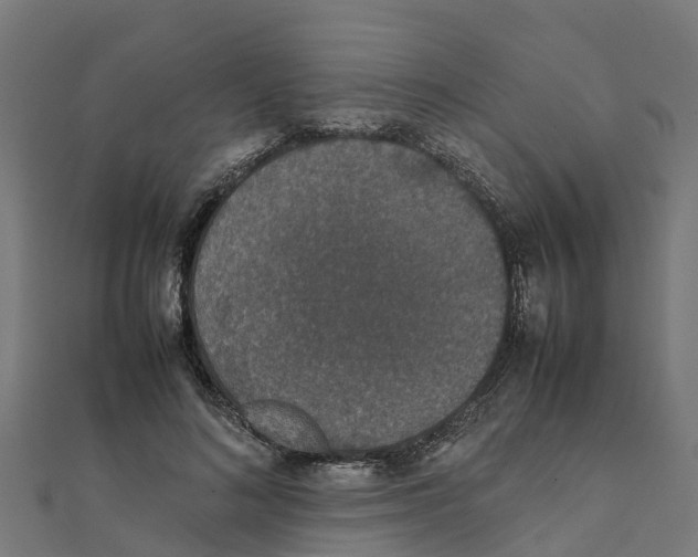 X0000111250692200907301327