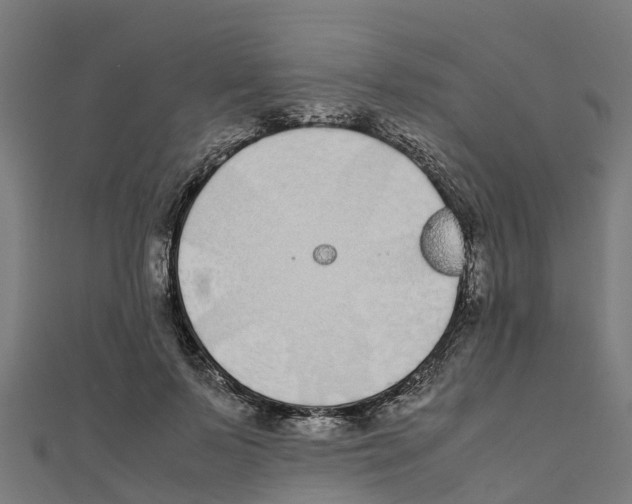 X0000111250695200907301327