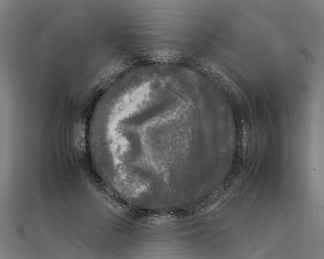 X0000111250696200907301327