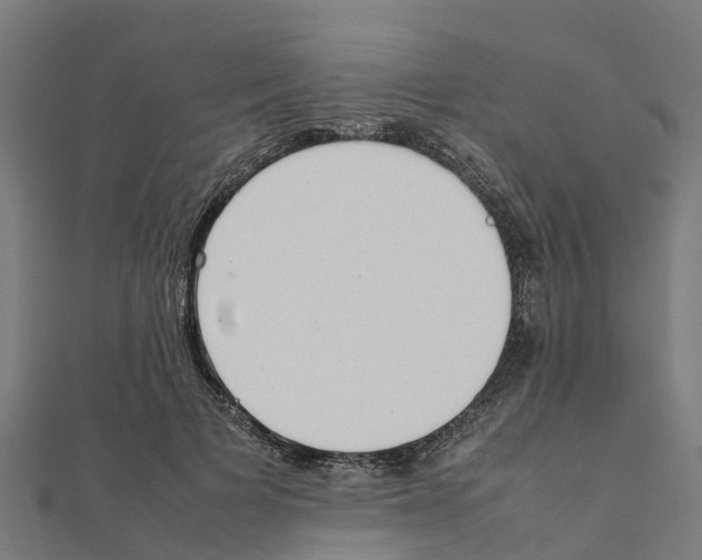 X0000111250697200907301327