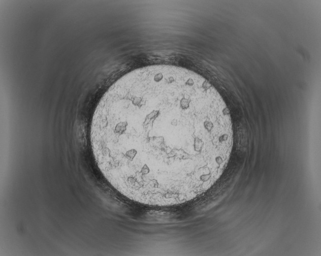 X0000111250699200907301327