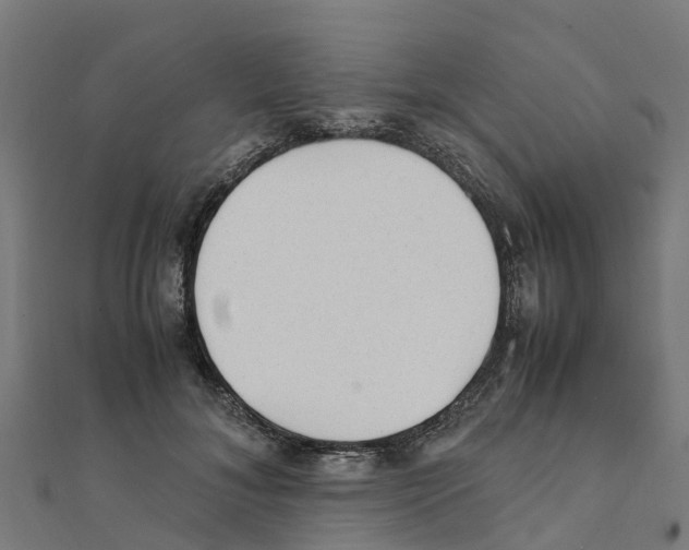 X0000111250700200907301327