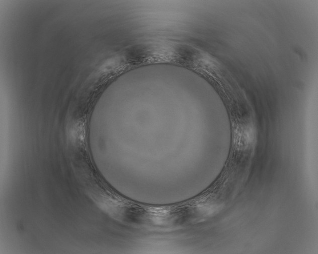 X0000111250701200907301327