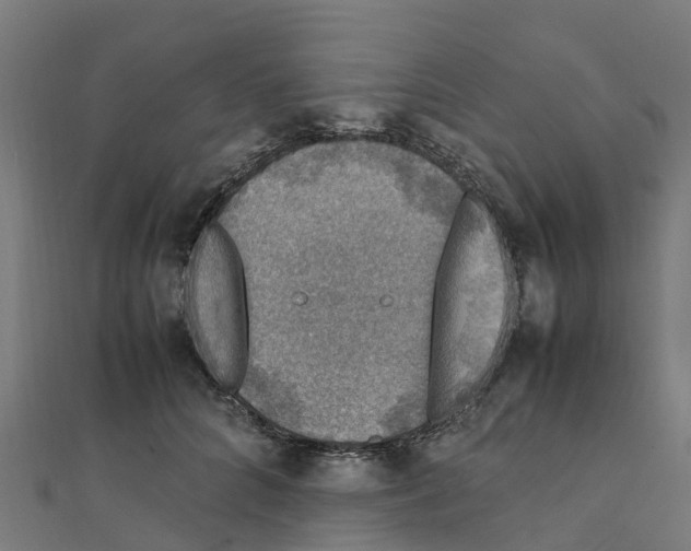 X0000111250704200907301327