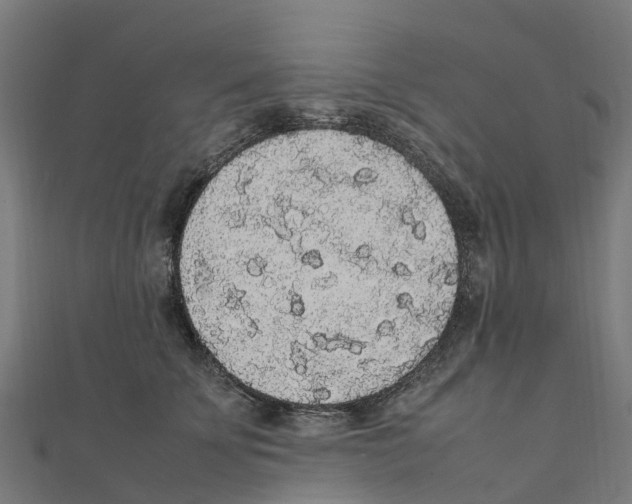 X0000111250707200907301327