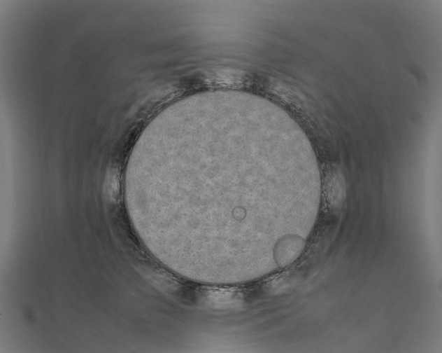 X0000111250709200907301327