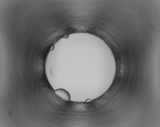 X0000111250710200907301327