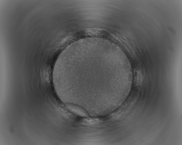 X0000111250712200907301327