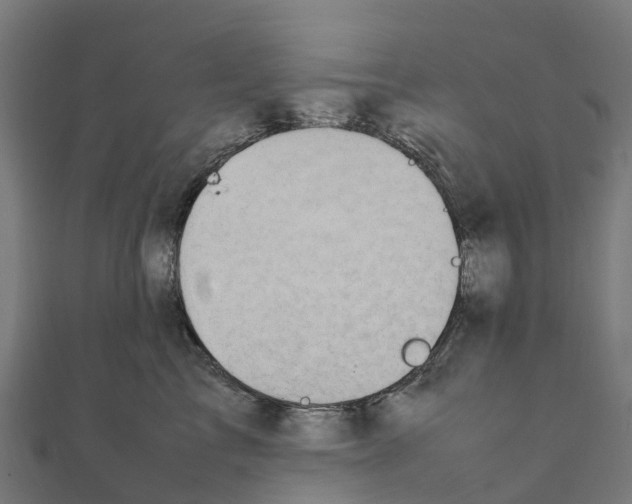 X0000111250713200907301327