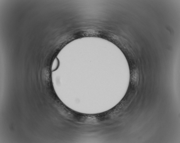 X0000111250715200907301327