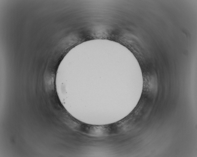 X0000111250717200907301327