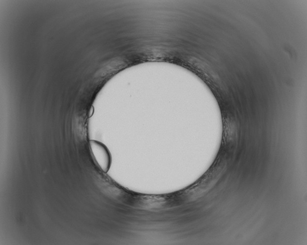 X0000111250719200907301327