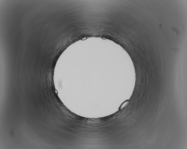 X0000111250720200907301327