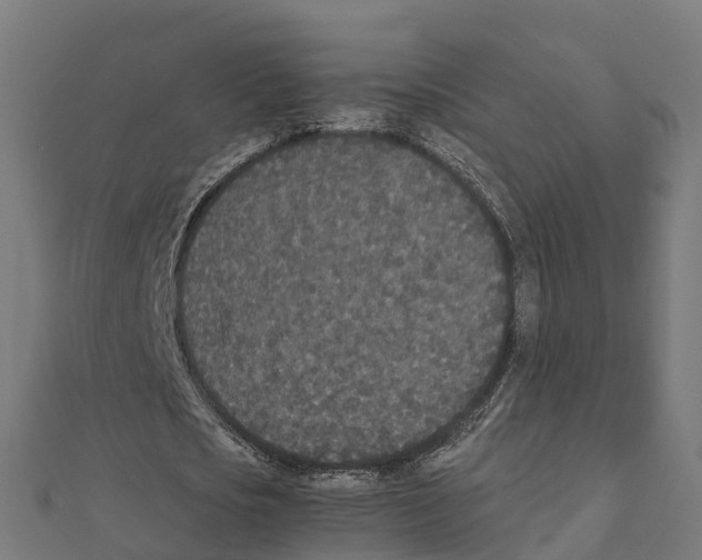 X0000111250721200907301326