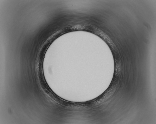 X0000111250722200907301326