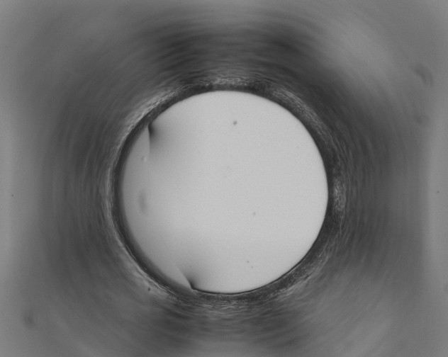 X0000111250725200907301326