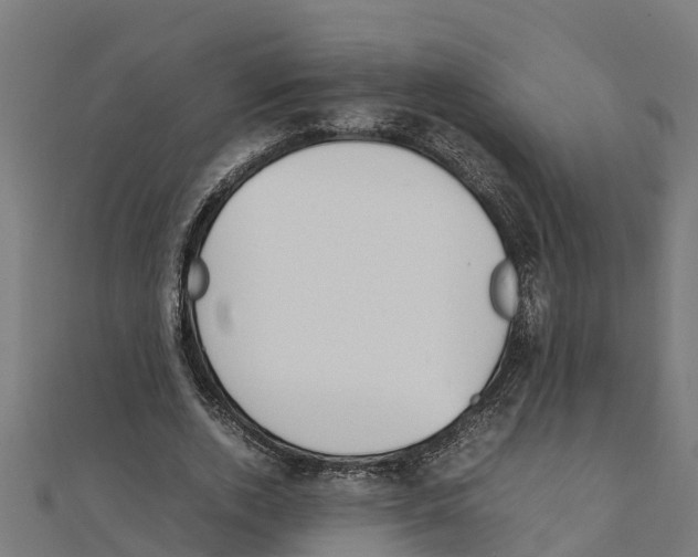 X0000111250728200907301326